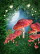 Red Meadow Mushrooms and