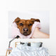 Dog After the Bath Wall Mural
