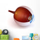 Anatomy Eye Inner Structure Wall Decal
