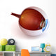 Anatomy Eye Inner Structure Wall Decal