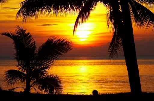 Tropic Sunset Wall Decal Design 2