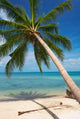 Palm Tree Wall Decal Design 1
