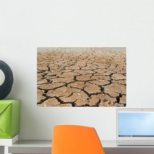 Dried Soil Wall Decal