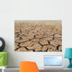 Dried Soil Wall Decal