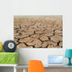 Dried Soil Wall Decal