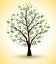 Beautiful Vector Tree