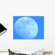 Blue Moon
