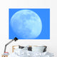 Blue Moon