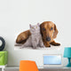 Kitten and dog dachshund Wall Decal