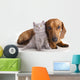 Kitten and dog dachshund Wall Decal