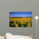 Girasoli Collina Toscana Wall Mural