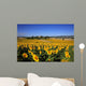 Girasoli Collina Toscana Wall Mural