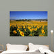 Girasoli Collina Toscana Wall Mural