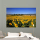 Girasoli Collina Toscana Wall Mural