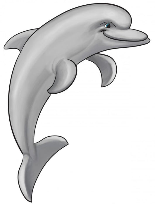 Gray Dolphin