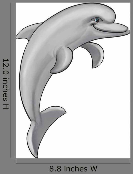 Gray Dolphin