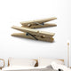 Clothes Pegs