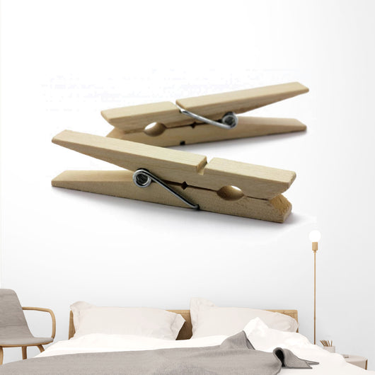 Clothes Pegs