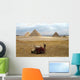 Camel Sitting near Pyramids Wall Decal