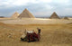 Camel Sitting near Pyramids Wall Decal