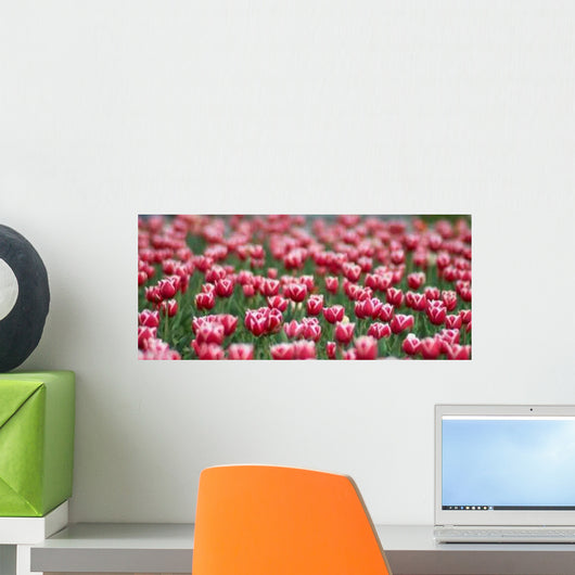 Tulips Field Wall Decal