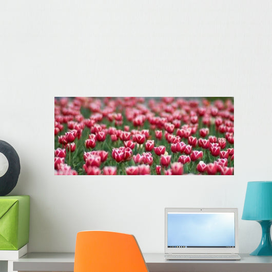 Tulips Field Wall Decal