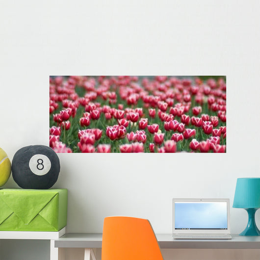 Tulips Field Wall Decal