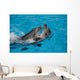 Loving Dolphins Wall Decal