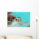 Water Turtle Wall Decal