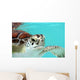 Water Turtle Wall Decal