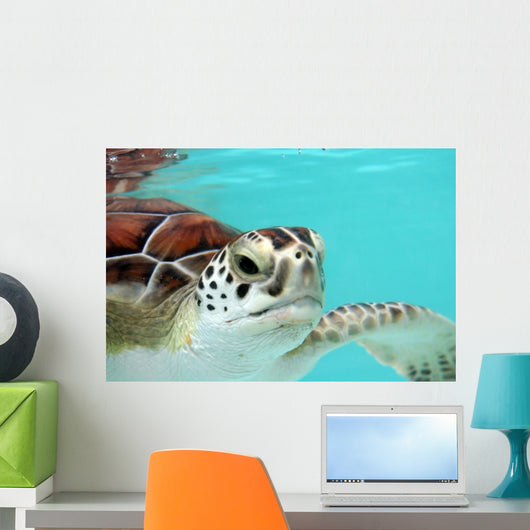 Water Turtle Wall Mural