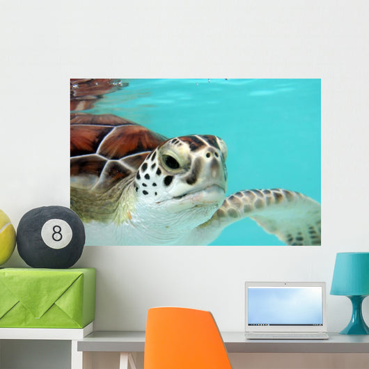 Water Turtle Wall Mural