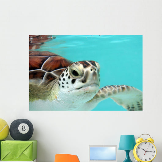 Water Turtle Wall Mural