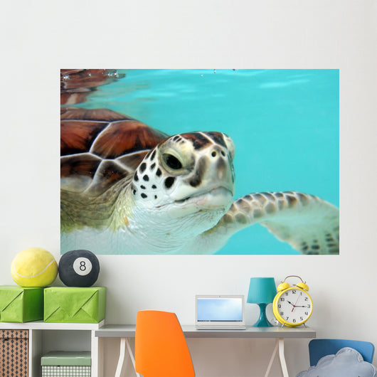 Water Turtle Wall Mural
