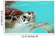 Water Turtle Wall Mural