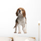 Beagle Standing in Front of White Background Wall Decal