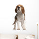 Beagle Standing in Front of White Background Wall Decal