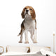 Beagle Standing in Front of White Background Wall Decal