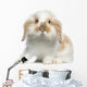Lop rabbit Wall Decal