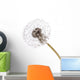 Dandelion Wall Decal
