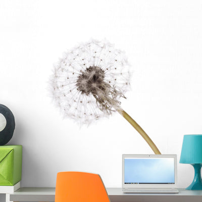 Dandelion Wall Decal shown on a wall