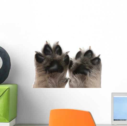 Close-up Puppy's Paws Wall Decal