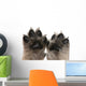 Close-up Puppy's Paws Wall Decal