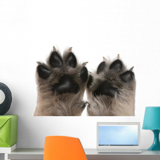 Close-up Puppy's Paws Wall Decal