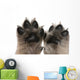 Close-up Puppy's Paws Wall Decal