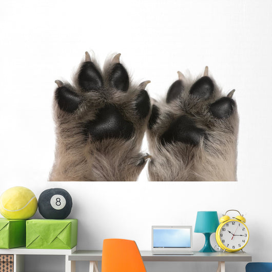 Close-up Puppy's Paws Wall Decal