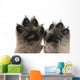 Close-up Puppy's Paws Wall Decal
