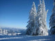 Wintertraum Wall Decal Design 1