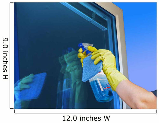 Cleaning Wall Mural