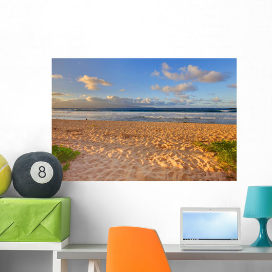 Tropical Gold Sand Beach